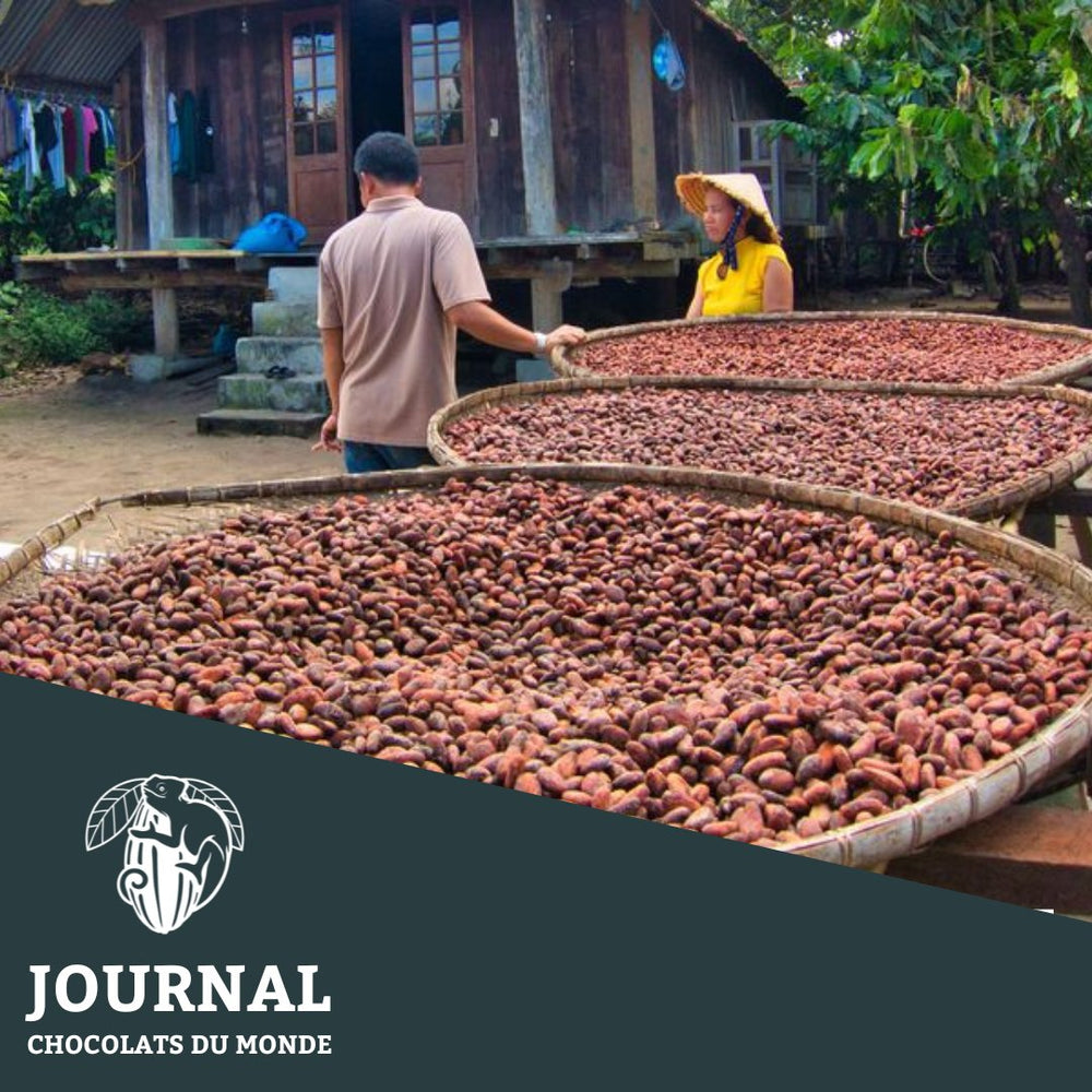 Terroirs du Monde : Le Vietnam et le chocolat - Chocolats du Monde