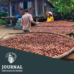 Terroirs du Monde : Le Vietnam et le chocolat - Chocolats du Monde